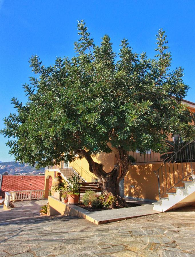 A Carubba Du Bungiurnu Villa Borgio Verezzi Exteriör bild